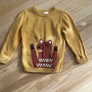 Hanna Andersson Boys sweater nwot 3T